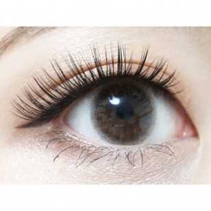 RICH STANDARD Premium MilanoKhaki 日抛10片裝